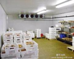 深耕冷鏈科技，守護(hù)海鮮鮮活——大連生鮮冷庫安裝·維修·銷售·電子設(shè)備工程一站式服務(wù)